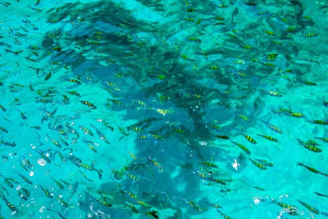 Phang Nga Bay & Khai Island Tour by speed boat
