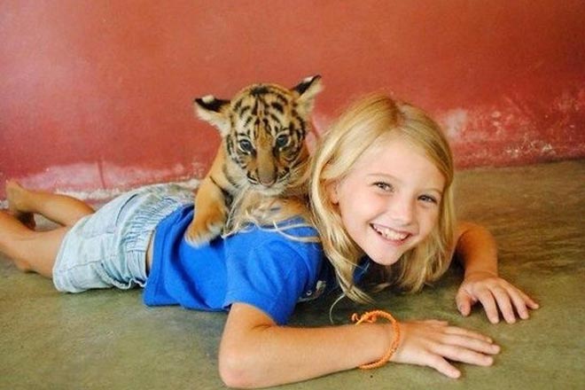 Flying Hanuman with Tiger Kingdom