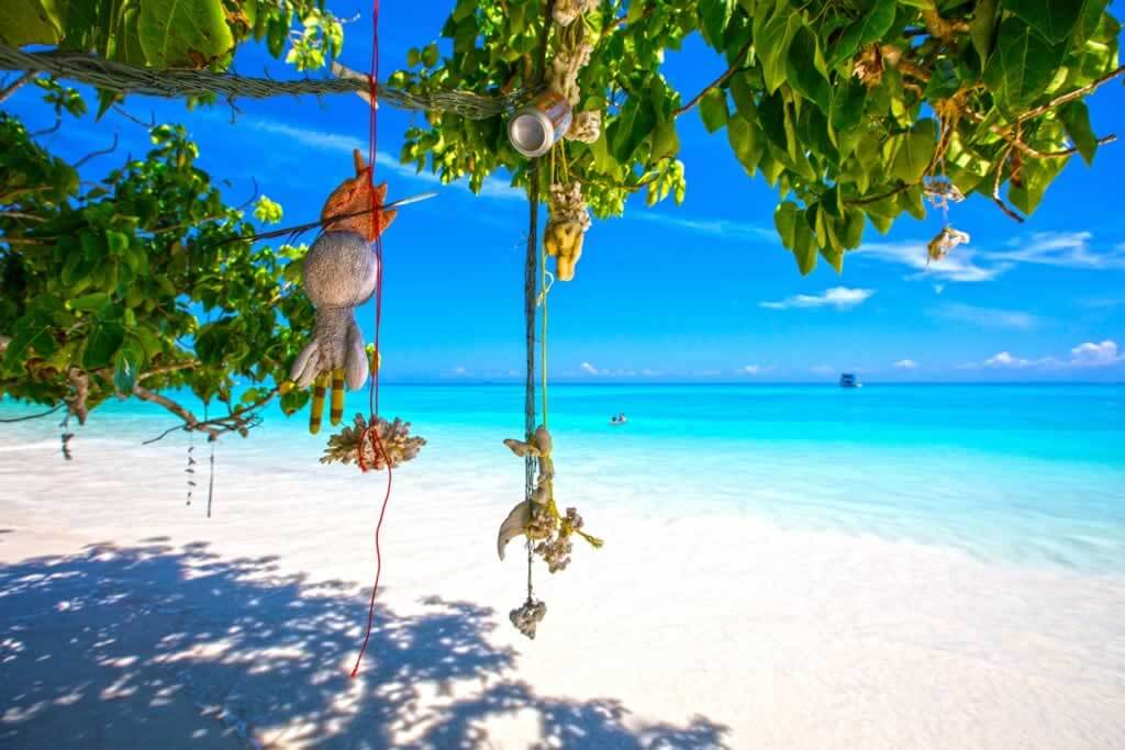 Similan Island Tour
