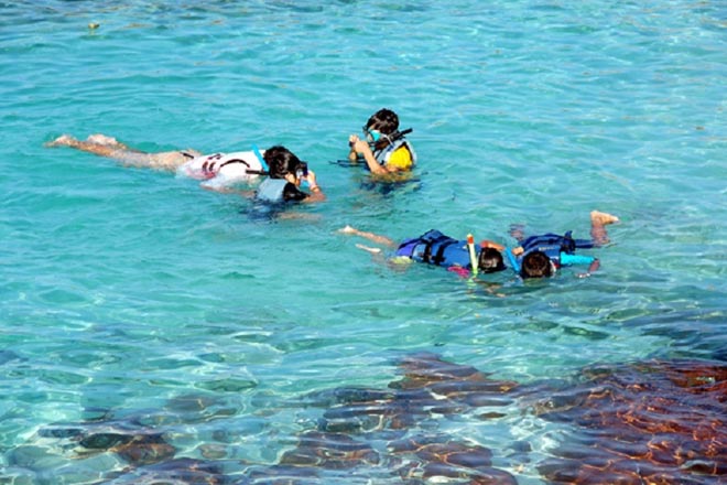 Raya & Coral Island Tour Speed Boat