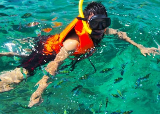 Phi Phi Island Tour by big boat Tour