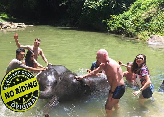 ATV bike + Elephant Care Tour