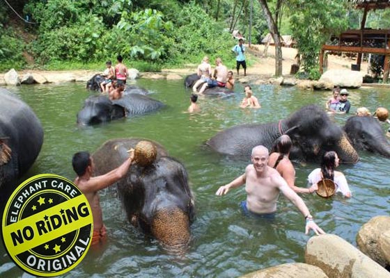 Whitewater Rafting  + Elephant Care