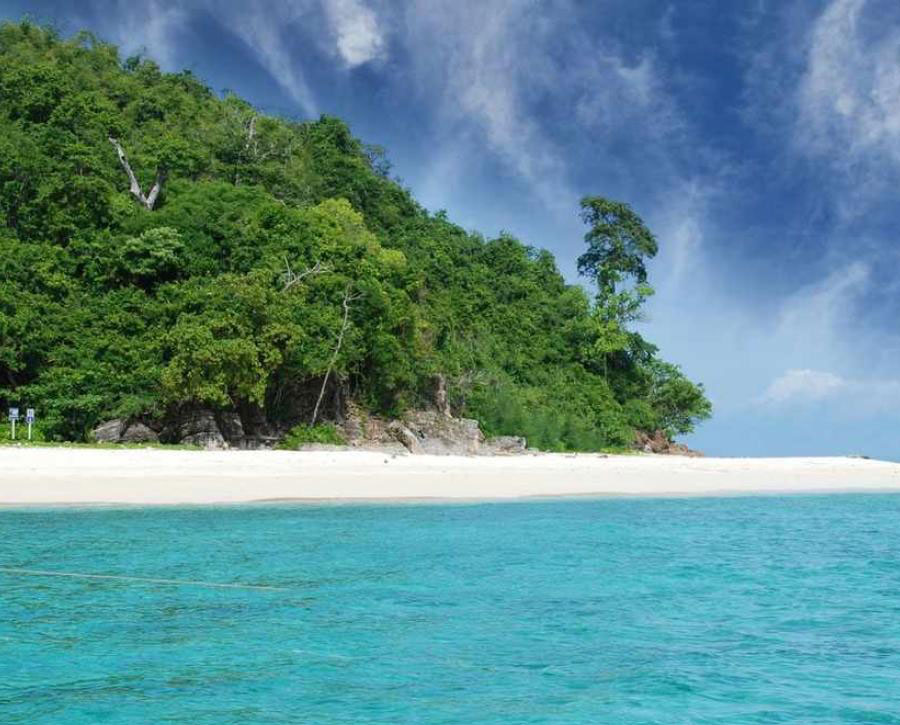 Phi Phi Maya Bamboo Island Tour by Speed Boat
