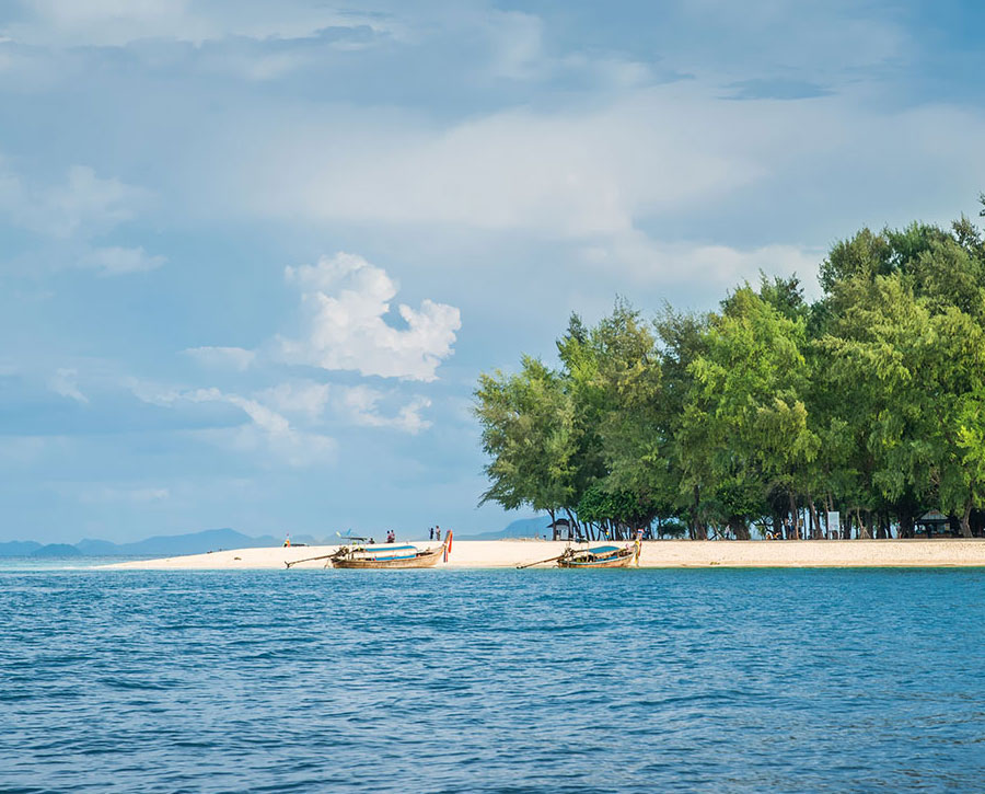 Phi Phi Maya Bamboo Island Tour by Speed Boat