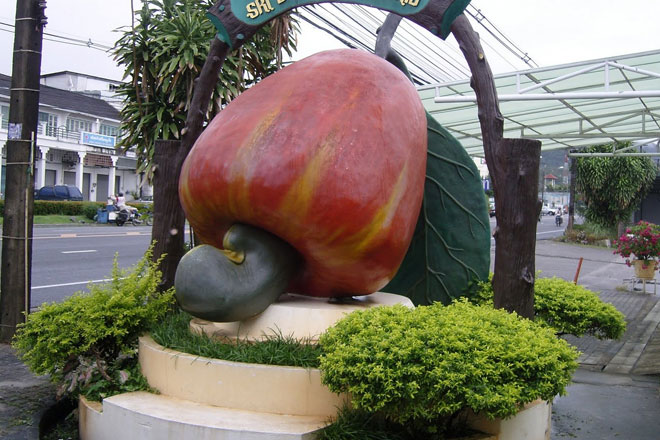 Phuket City and Shopping Tour