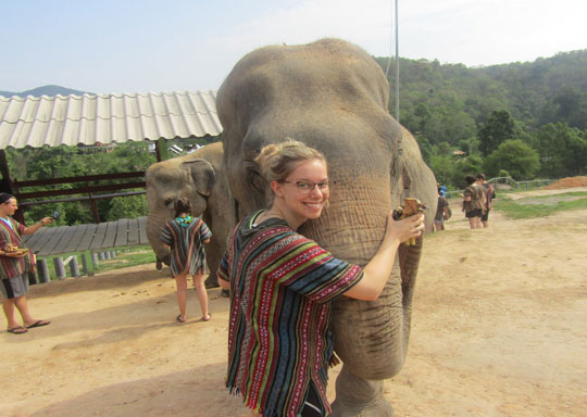 Elephant Green Sanctuary Tour