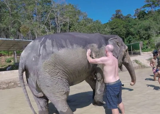 Elephant Green Sanctuary Tour