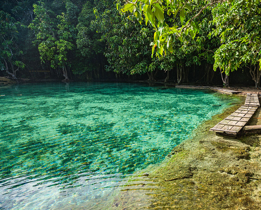 Emerald Pool with Tiger Temple and Hot Spring from Krabi