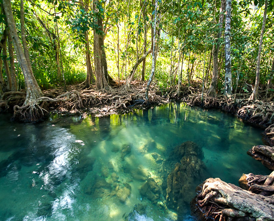 Emerald Pool with Tiger Temple and Hot Spring from Krabi